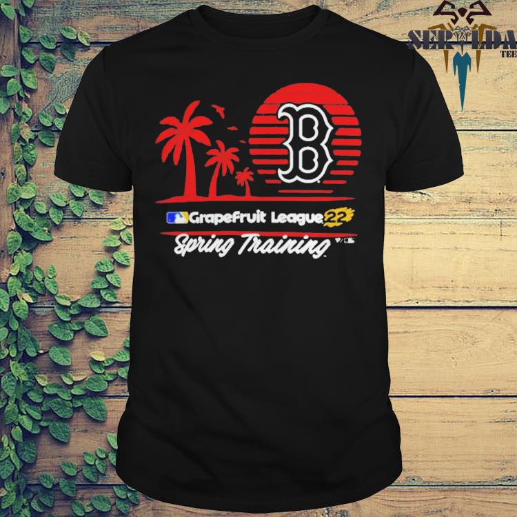 Boston Red Sox Fanatics Branded 2022 Spring Training Horizon Line T-Shirt -  Navy