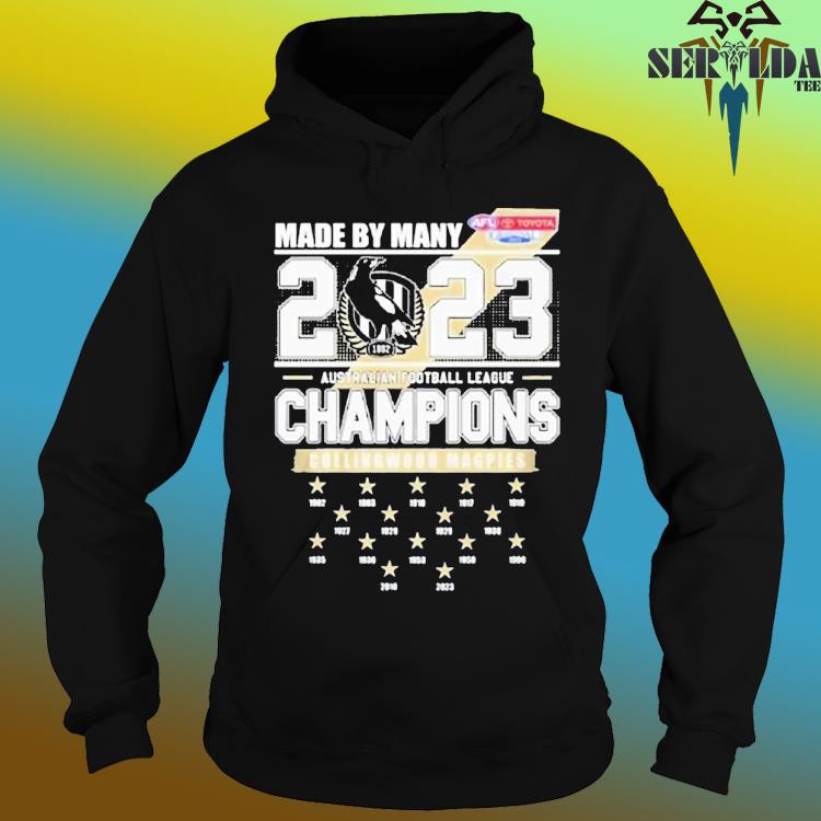 New Orleans Saints 2020 NFC South Division Champions shirt, hoodie,  sweater, long sleeve and tank top